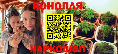 бошки Будённовск