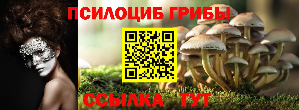 Псилоцибиновые грибы ЛСД Магадан