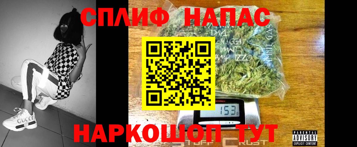 Бошки Шишки планчик Магадан